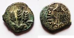 Ancient Coins - JUDAEA, Herodians. Agrippa I. 37-43 CE. AE Prutah .Jerusalem mint.