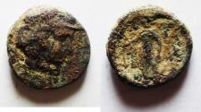 Ancient Coins - SELEUKID EMPIRE. Seleukos I Nikator. Second satrapy and kingship, 312-281 BC. Æ 15. Susa mint. Struck circa 300-298 BC.