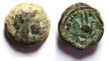 Ancient Coins - Ptolemaic Kings. Ptolemy Apion as King of Kyrenaika (104-96 BC) Æ 15