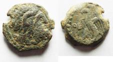Ancient Coins - Ptolemaic Kingdom. Ptolemy VIII Euergetes II (Physcon). Second reign, 145-116 B.C. Æ. Cyrene.