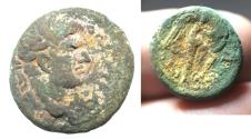 Ancient Coins - JUDAEA CAPTA. UNDER DOMITIAN AE 17