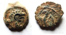 Ancient Coins - CYRENE: Ptolemaic Kingdom. Ptolemy VIII Euergetes II (Physcon). Second reign, 145-116 B.C. Æ 14