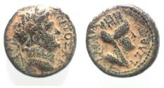 Ancient Coins - DECAPOLIS. GADARA. TITUS AE 16