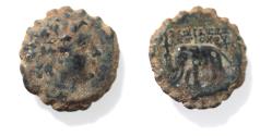 Ancient Coins - Seleukid Kings of Syria, Antiochos VI Dionysos (144-142 BC) AE 21. ELEPHANT