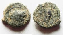 Ancient Coins - Ptolemaic Kingdom. Ptolemy IX Soter II (Lathyros). 116-106 B.C. Æ. Cyrene.