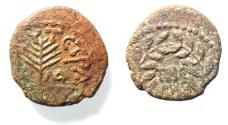 Ancient Coins - BE-HEADER OF JOHN THE BAPTIST: JUDAEA, Herodians. Herod III Antipas. 4 BCE-39 CE. Æ Unit
