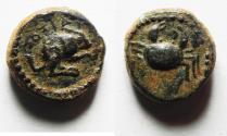 Ancient Coins - STUNNING, BEST EXAMPLE OF THIS EXTREMELY RARE TYPE: KYRENAICA, Kyrene. temp. Ptolemy I. Circa 308-305 BC. Æ 13