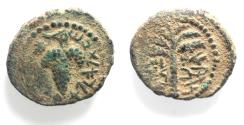 Ancient Coins - Judaea. Bar Kokhba War (AD 132-135). Small bronze (21mm, 6.33g). Dated year 1 (AD 132).