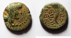 Ancient Coins - DECAPOLIS. GADARA. Autonomous issues. 1st century BC. AE 17