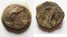 Ancient Coins - Ptolemaic Kingdom. Ptolemy IX Soter II (Lathyros). 116-106 B.C. Æ. Cyrene.