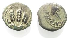 Ancient Coins - JUDAEA, Herodians. Agrippa I. 37-43 CE. AE Prutah .Jerusalem mint.