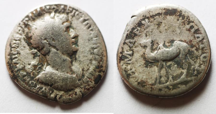 Ancient Coins - ARABIA, Bostra. Trajan. AD 98-117. AR Drachm