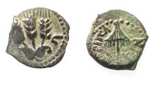Ancient Coins - JUDAEA, Herodians. Agrippa I. 37-43 CE. AE Prutah .Jerusalem mint.