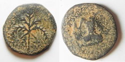 Ancient Coins - Apparently unpublished: ROMAN PROVINCIAL. Syria. Decapolis. Dium (?). Quasi -autonomous AE 29mm, 7.77g. 