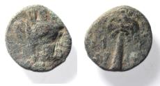 Ancient Coins - Phoenicia, Tyre, 1st century AD. Æ 15. AS FOUND