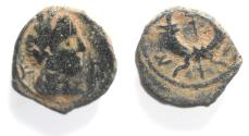 Ancient Coins - NABATAEA. Aretas IV. 9 BC- AD 40. AE 14