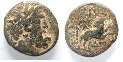 Ancient Coins - Seleucis and Pieria. Antioch Æ 19 . Star of Bethlehem depicted. 1st Century AD