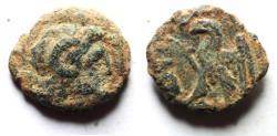 Ancient Coins - CYRENE: Ptolemaic Kingdom. Ptolemy VIII Euergetes II (Physcon). Second reign, 145-116 B.C. Æ 14
