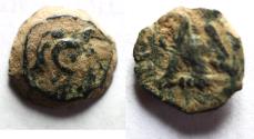 Ancient Coins - CYRENE: Ptolemaic Kingdom. Ptolemy VIII Euergetes II (Physcon). Second reign, 145-116 B.C. Æ 14
