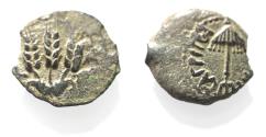 Ancient Coins - JUDAEA, Herodians. Agrippa I. 37-43 CE. AE Prutah .Jerusalem mint.