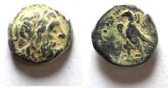 Ancient Coins - PTOLEMAIC KINGDOM . PTOLEMY II AE 17. SIDON MINT