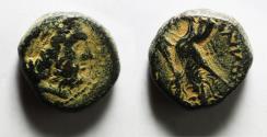 Ancient Coins - Ptolemaic Kingdom. Ptolemy II AE 15. Sidon Mint