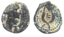 Ancient Coins - NABATAEAN KINGDOM. ARETAS IV AE 15