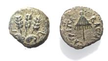 Ancient Coins - JUDAEA, Herodians. Agrippa I. 37-43 CE. AE Prutah .Jerusalem mint.