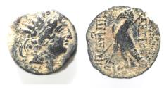 Ancient Coins - SELEUKID KINGS, Antiochos VIII. AE 19