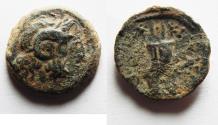 Ancient Coins - PTOLEMAIC KINGS of EGYPT. Ptolemy IX Soter II. 115-104/1 BC. Æ 19mm. Kyrene mint.