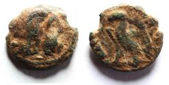 Ancient Coins - CYRENE: Ptolemaic Kingdom. Ptolemy VIII Euergetes II (Physcon). Second reign, 145-116 B.C. Æ 15