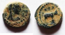 Ancient Coins - Decapolis. Philadelphia. Pseudo-autonomus issue. AE 12mm, 1.82g. Struck second century AD.