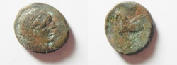 Ancient Coins - GREEK. Cyrenaica. Cyrene under Magas as Ptolemaic governor (second reign c. 261-258 BC) AE 17mm, 3.47g. 