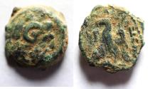Ancient Coins - CYRENE: Ptolemaic Kingdom. Ptolemy VIII Euergetes II (Physcon). Second reign, 145-116 B.C. Æ 13