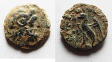 Ancient Coins - Ptolemaic Kingdom. Ptolemy VIII Euergetes II (Physcon). Second reign, 145-116 B.C. Æ. Cyrene.