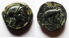 Ancient Coins - STUNNING: Seleukid Kings. Seleukos II Kallinikos  (246-225 BC). AE 15mm, 3.73g. ekbatana mint.