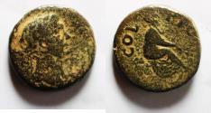 Ancient Coins - Phoenicia. Ptolemais-Ake . TRAJAN. TYCHE. AE 22