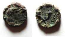 Ancient Coins - NICE AS FOUND: DECAPOLIS. GADARA. TIBERIUS AE 13