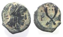 Ancient Coins - NABATAEAN . SYLLAUES , ONLY RULED SIX MONTHS. AE 15
