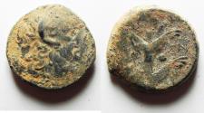 Ancient Coins - AS FOUND: KYRENAIKA, Kyrene (Koinon). Circa 250 BC. Æ 22