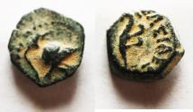 Ancient Coins - NICE QUALITY FOR THE TYPE: SELEUKID KINGS of SYRIA. Antiochos VII. 138-129 BC. Æ 11. Askalon mint.