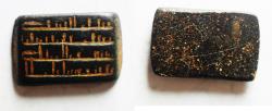 World Coins - ISLAMIC. UMMAYED. BRONZE WEIGHT. 1ST - 2ND CENTURY HIJRI