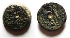 Ancient Coins - RARE DENOMINATION: PTOLEMY IV AE 19