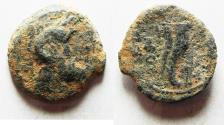 Ancient Coins - Ptolemaic Kingdom. Ptolemy IX Soter II (Lathyros). 116-106 B.C. Æ. Cyrene.