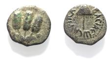 Ancient Coins - JUDAEA, Herodians. Agrippa I. 37-43 CE. AE Prutah .Jerusalem mint.