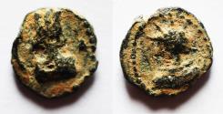 Ancient Coins - PALMYRENE, Palmyra. Pseudo-autonomous issue. 2nd-early 3rd centuries AD. Æ 13