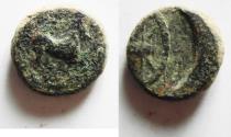 Ancient Coins - KYRENAICA, Kyrene. temp. Ophellas. Ptolemaic governor, first reign, circa 322-313 BC. Æ