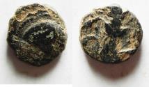 Ancient Coins - KYRENAICA, Kyrene. temp. Ophellas. Ptolemaic governor, first reign, circa 322-313 BC. Æ