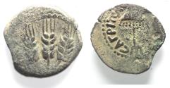 Ancient Coins - JUDAEA, Herodians. Agrippa I. 37-43 CE. AE Prutah .Jerusalem mint.