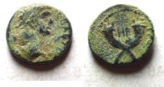 Ancient Coins - DECAPOLIS. GADARA. CLAUDIUS AE 12